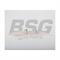 Bsg 30-109-041_направляющая цепи грм!\ ford ranger 12-15/transit 14>/transit 2.2-2.4d 06-13 BSG BSG30109041