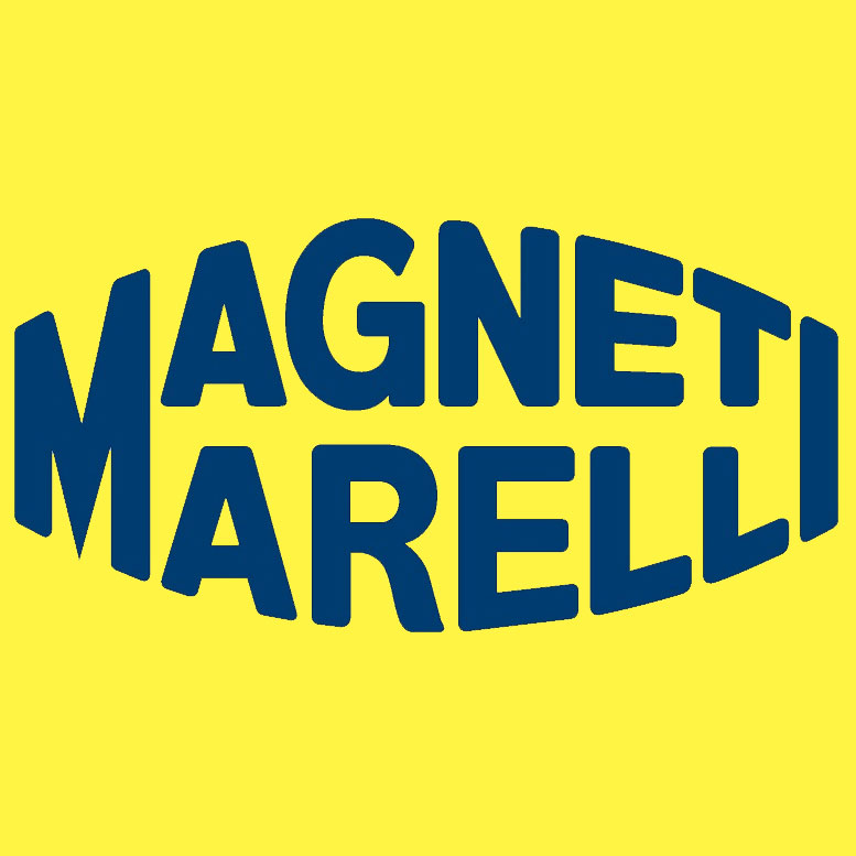Насос MAGNETI MARELLI 313011300069