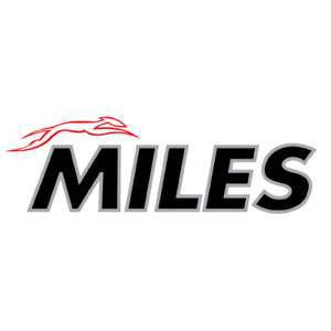 логотип MILES