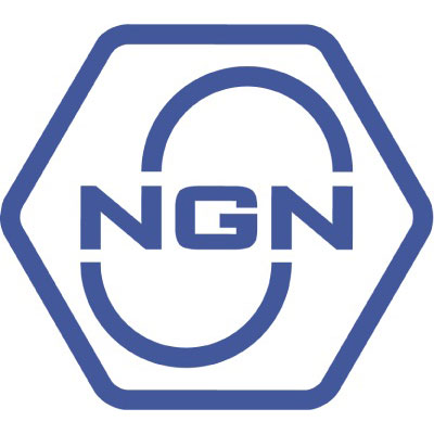 логотип NGN