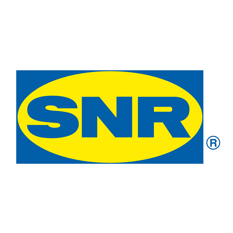логотип SNR
