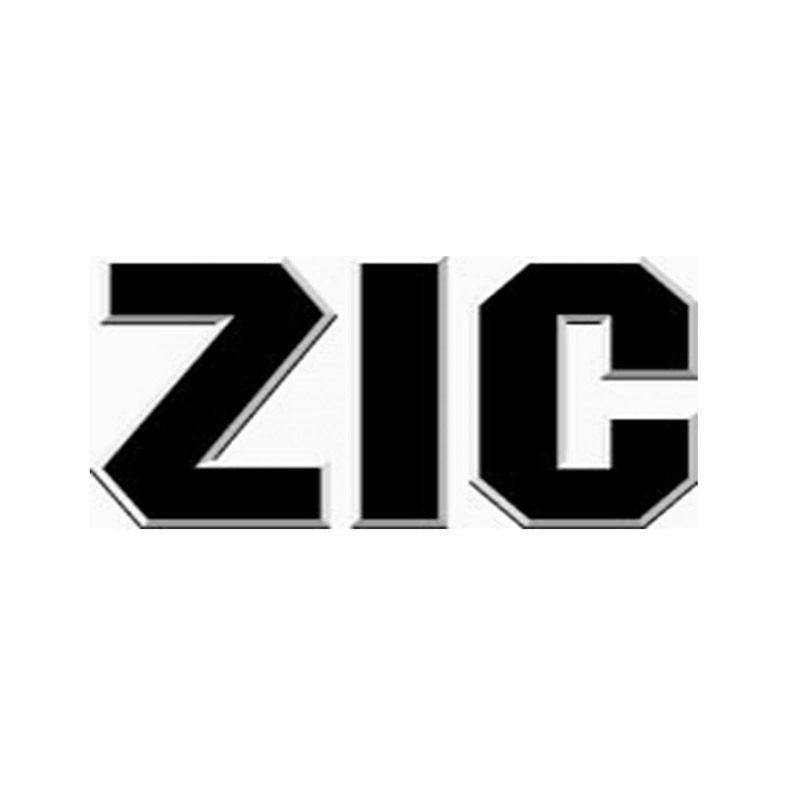 логотип ZIC