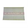 Салонный фильтр KAMOKA F412101